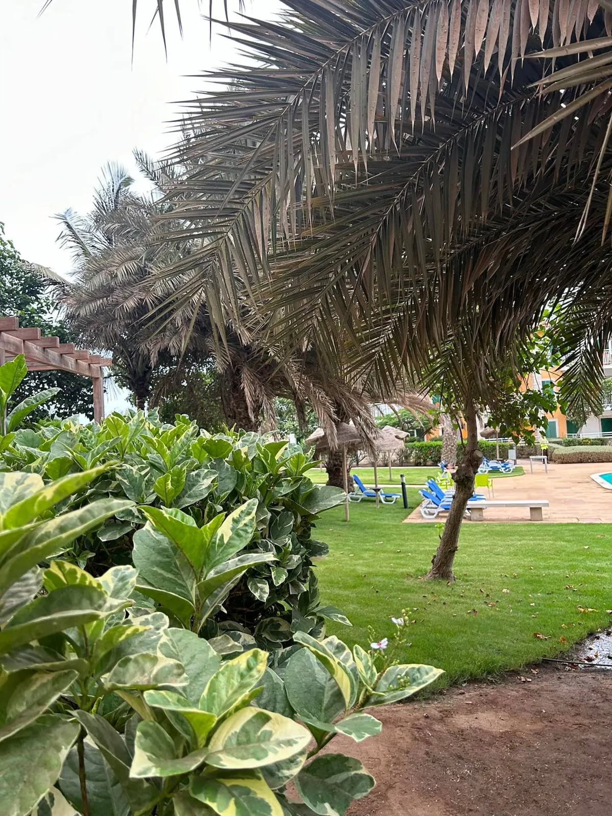 Good life is in Vila Verde Sal. — Additional photos