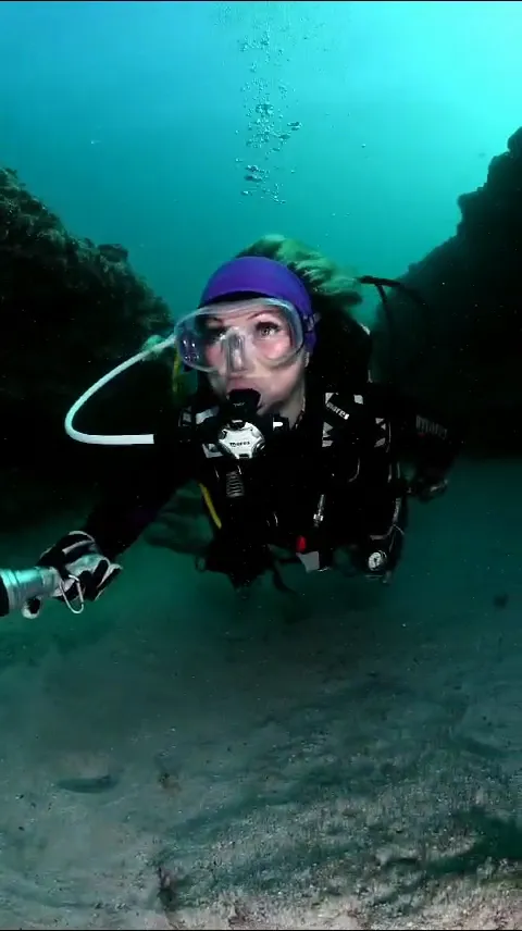 Cabo Verde Diving Melia Tortuga & Dunas photo 4
