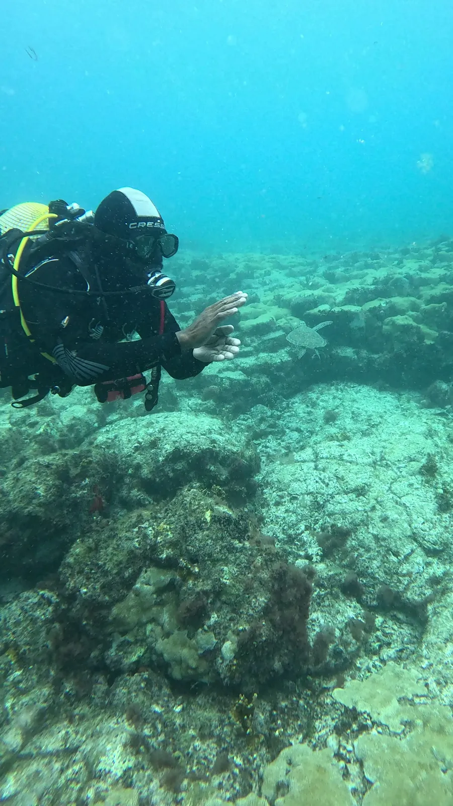 Santa Maria Dive Center photo 3