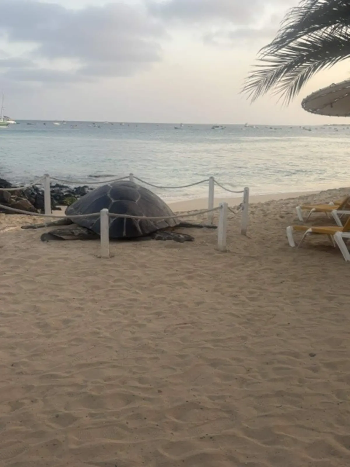 Paraiso Tropical, Central and Beach — Additional photos