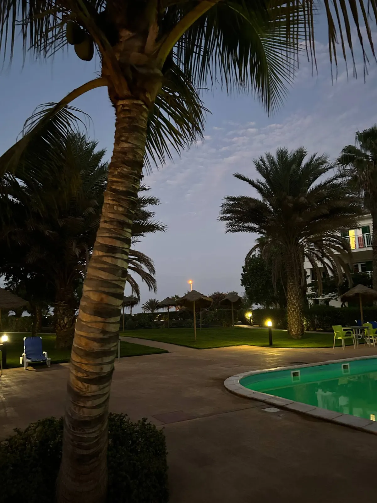 Good life is in Vila Verde Sal. — Garden