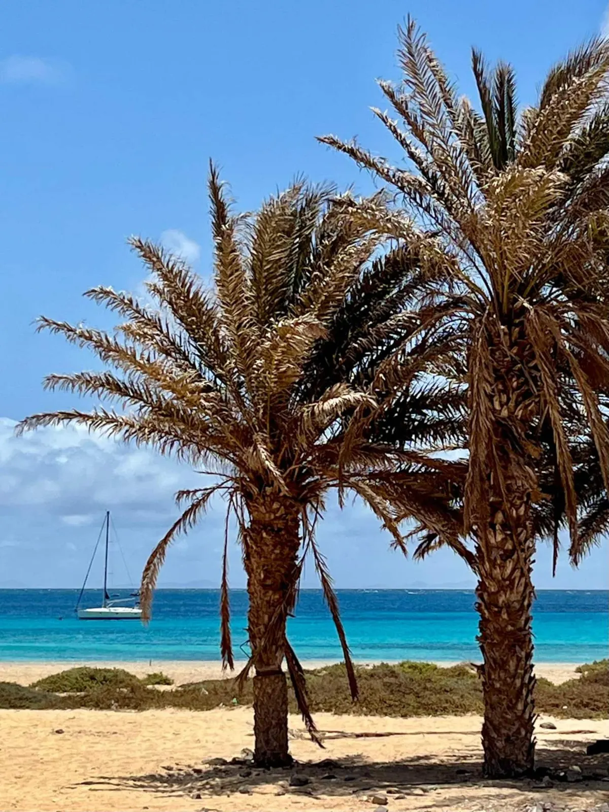 Enchanting sea front — Additional photos