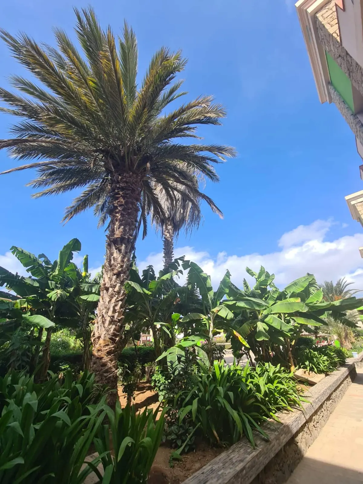 Casa Djadsal Pool View Near Beach & Town — Additional photos