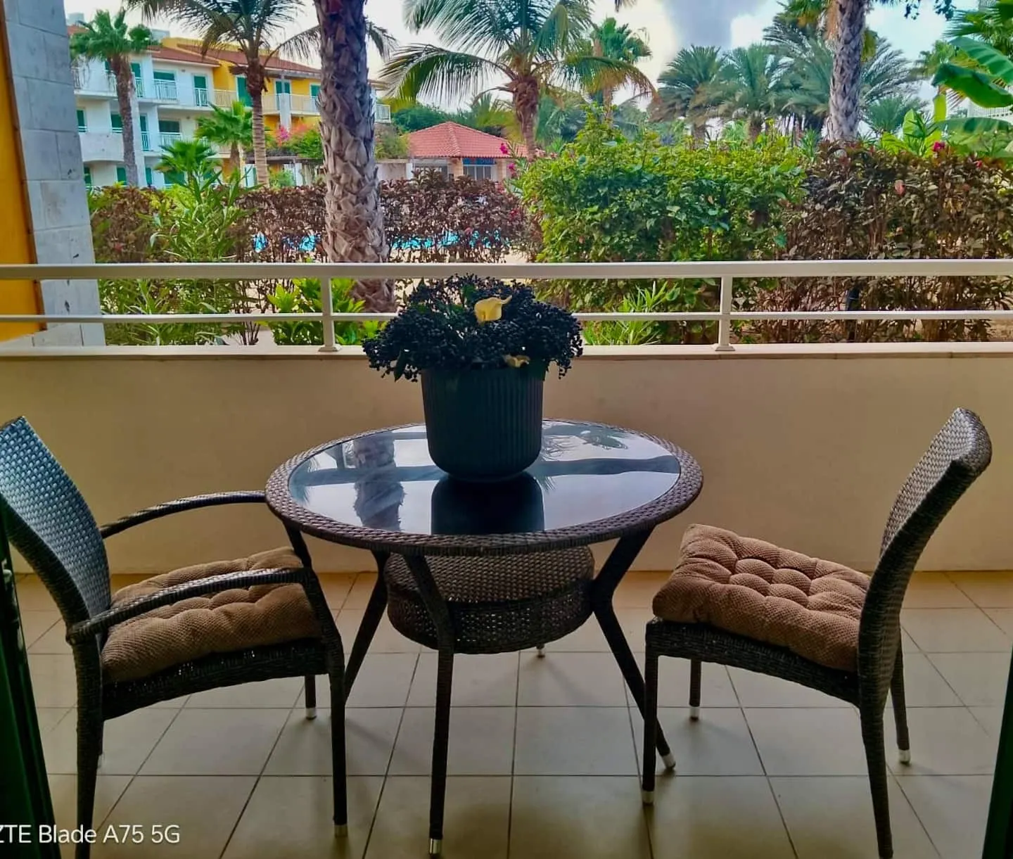 Comfortable Studio Apartment in Santa Maria — photo 5