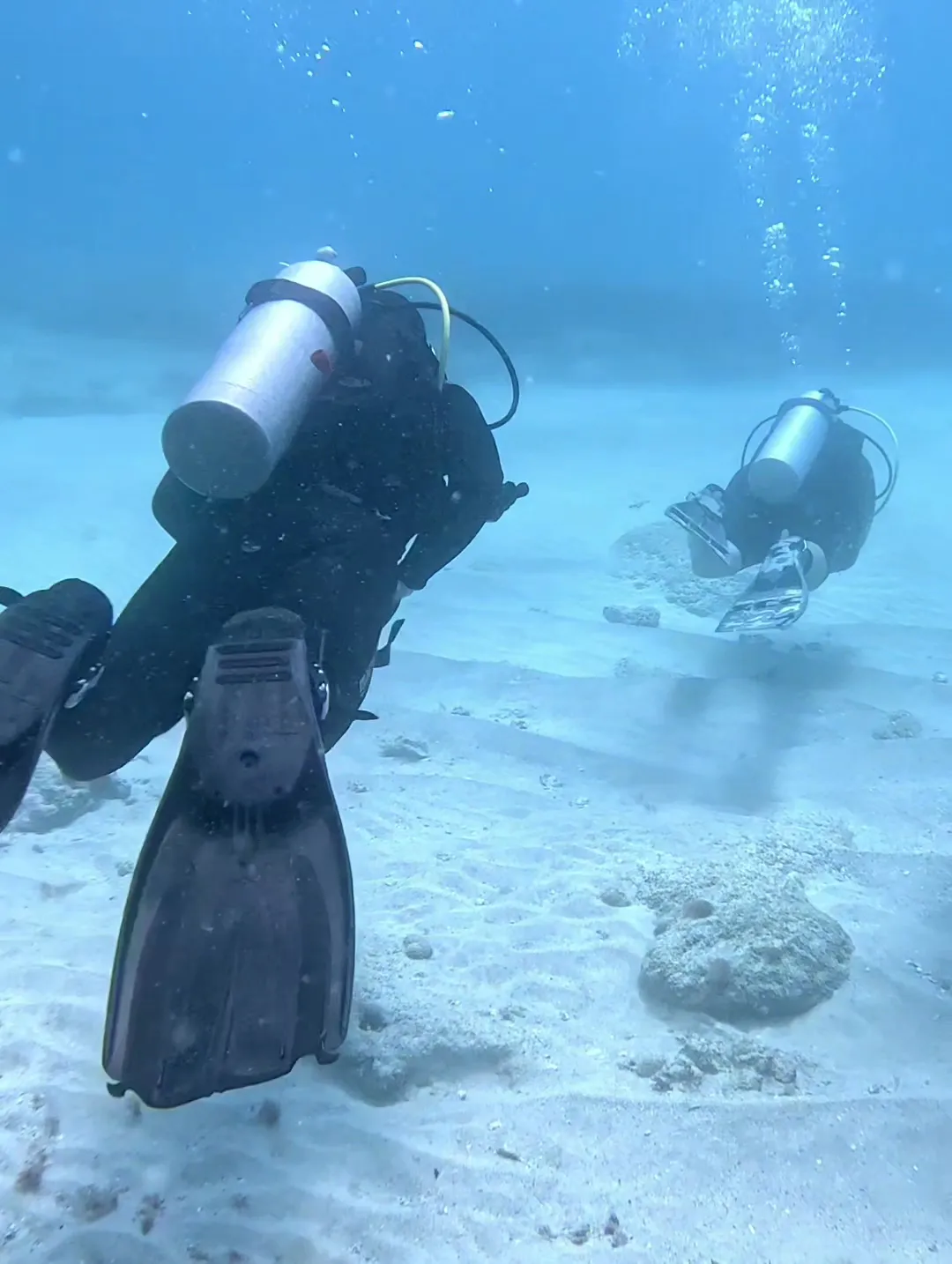 ScubaCaribe - Diving & Water Sports photo 3