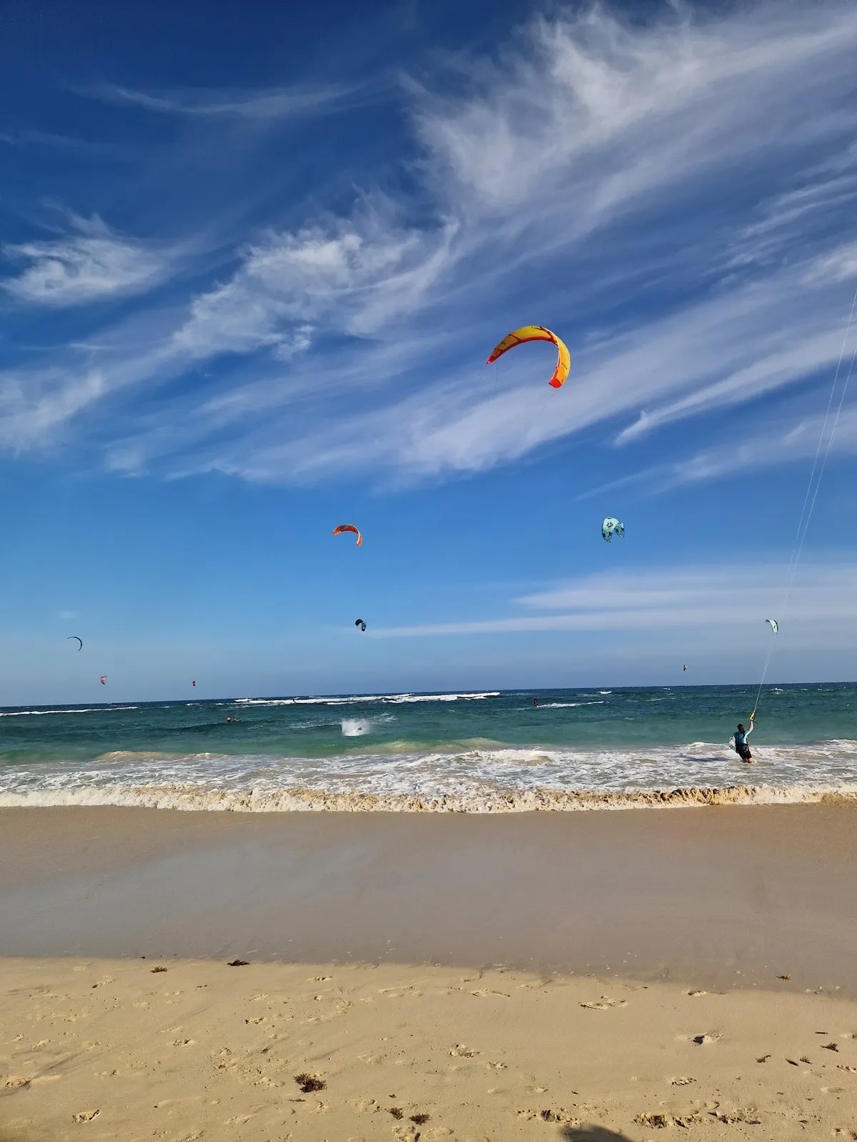 Kite Beach Schildkröte- Sal Cabo Verde