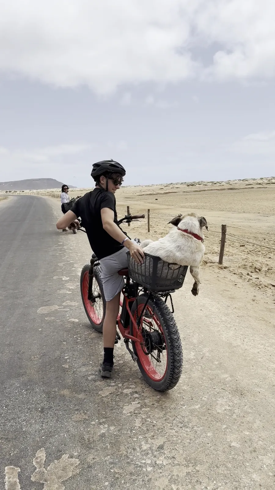 ELECTRICA ELECTRIC BIKES photo 3