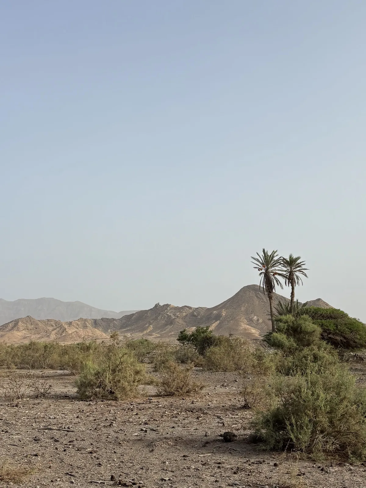 No Limits Adventure Cape Verde photo 2
