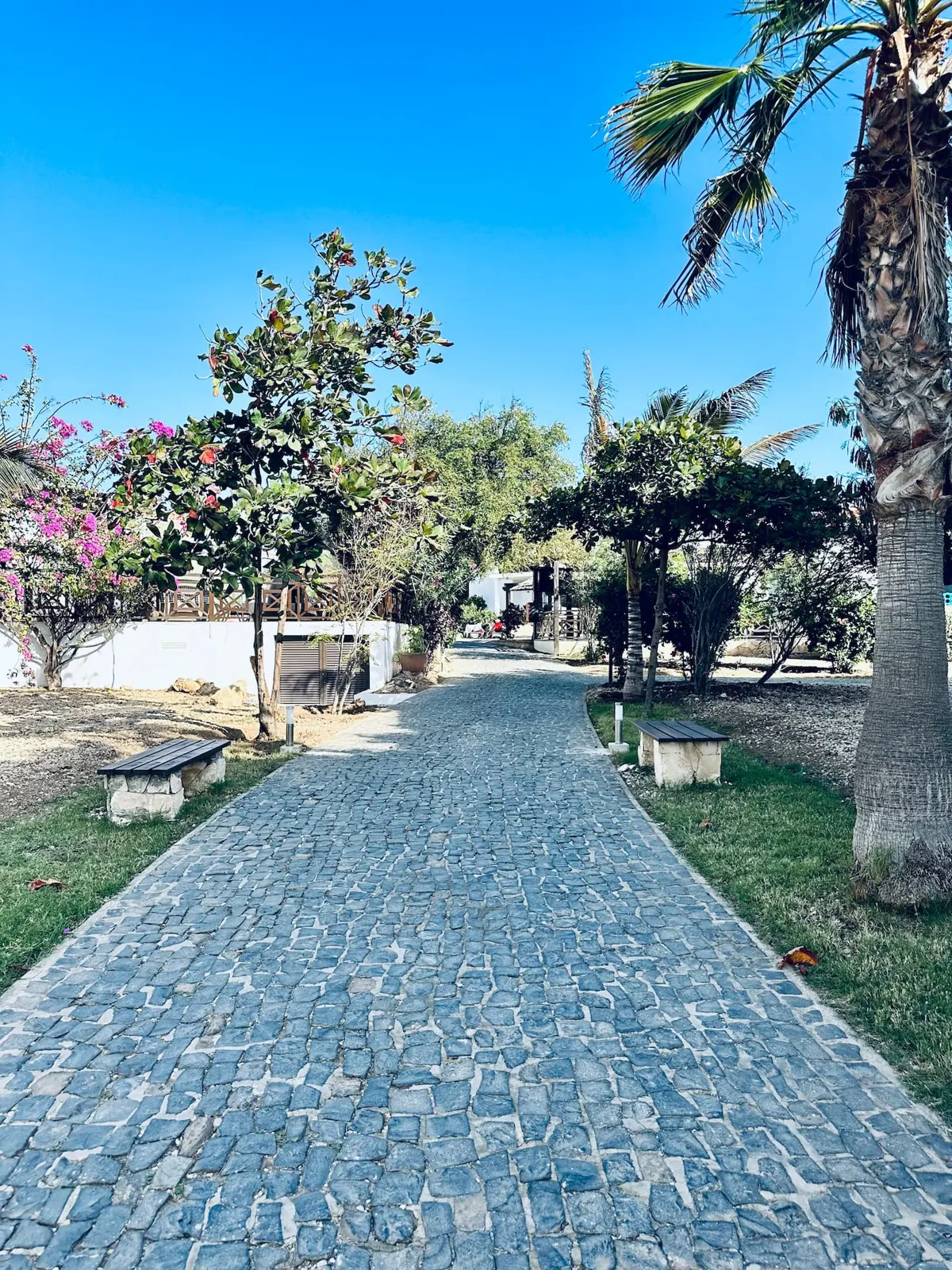 Ground Floor Apartment@MeliaTortuga Resort S.Maria — Additional photos