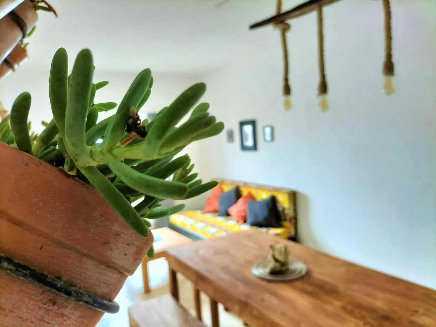 Lovely shared room in Solstice — photo 9