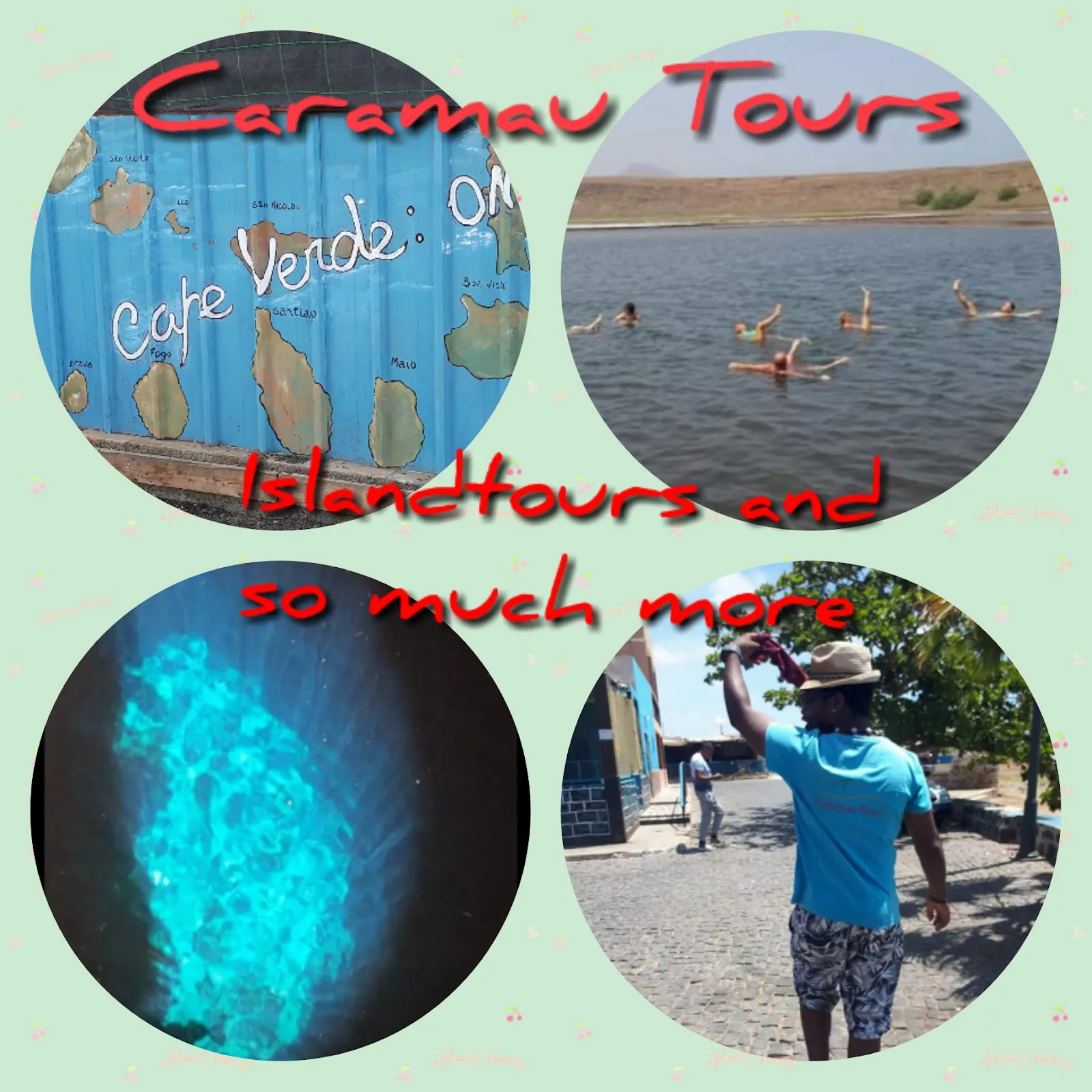 Caramau Tours photo 2