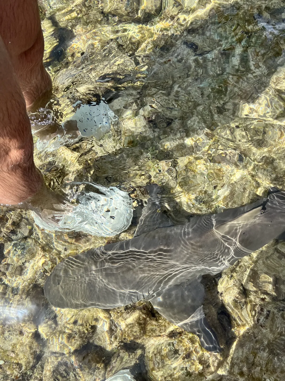 Explore Cape Verde photo 2