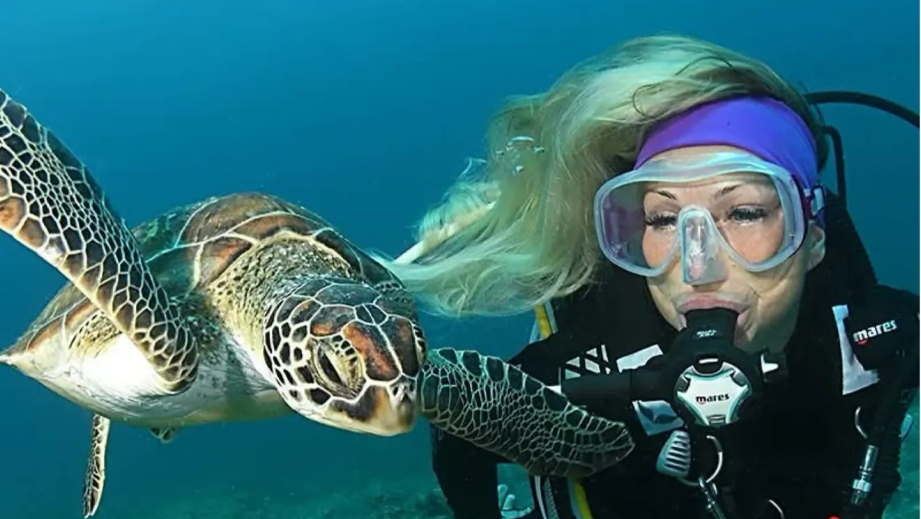 Cabo Verde Diving Melia Tortuga & Dunas