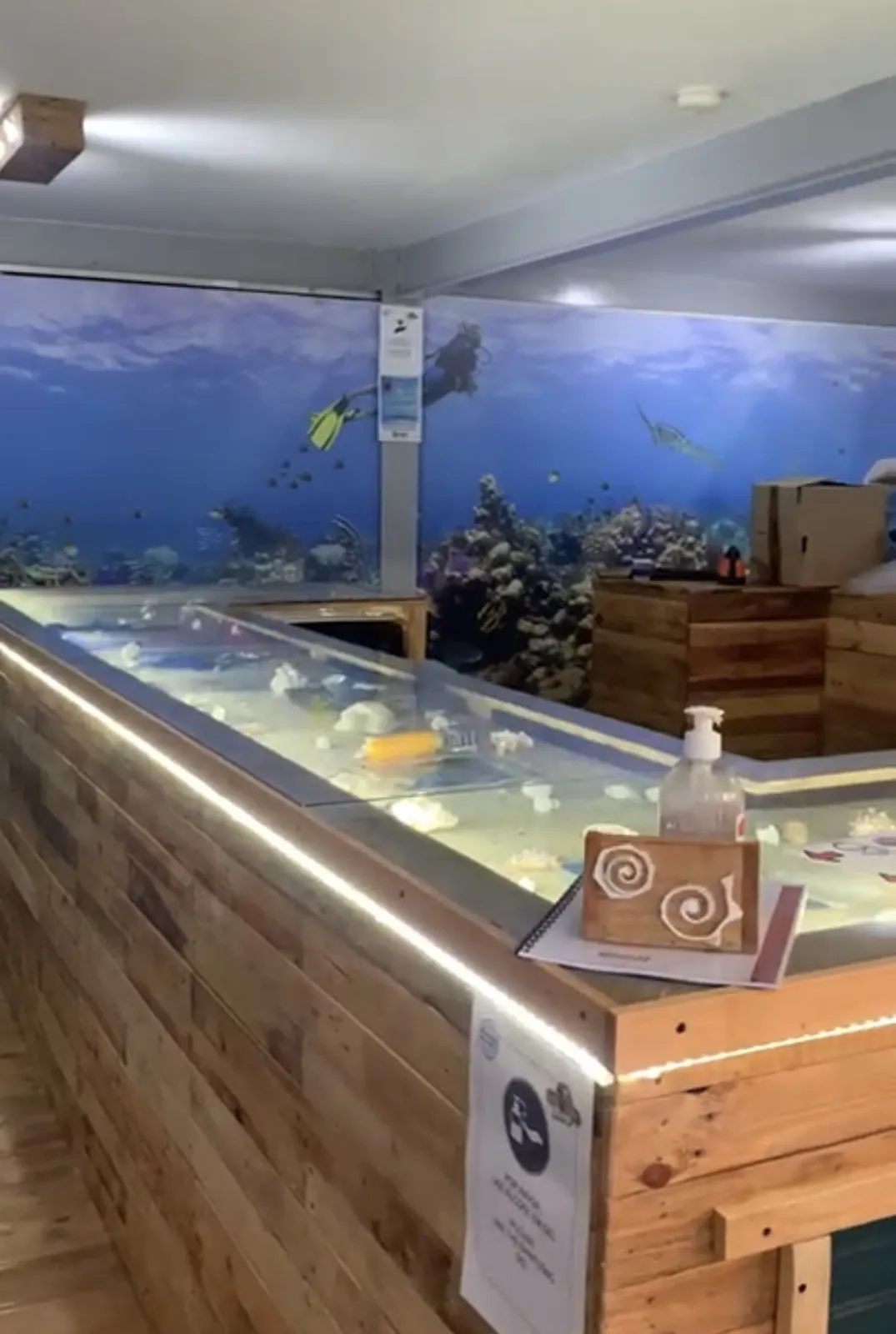 Cabo Verde Diving Aquarium photo 4