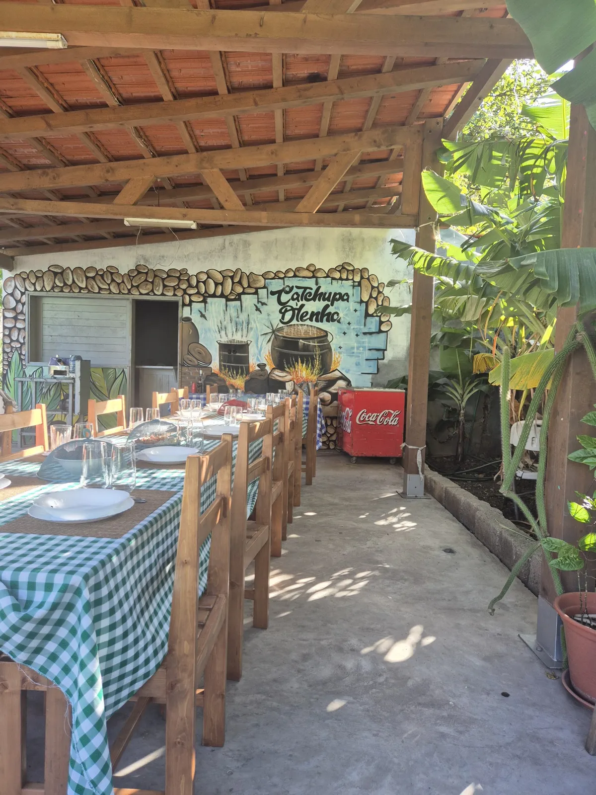 Cabo Mundo Tours and travel photo 2