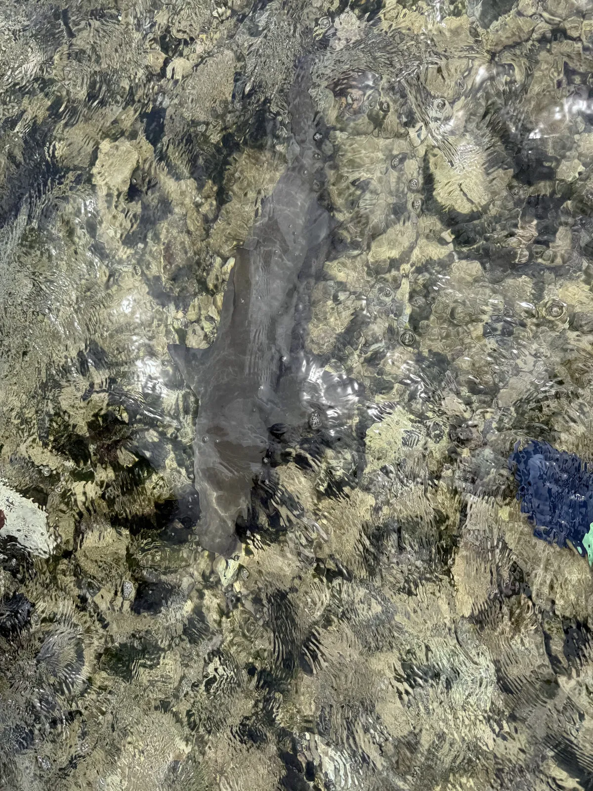 Explore Cape Verde photo 1