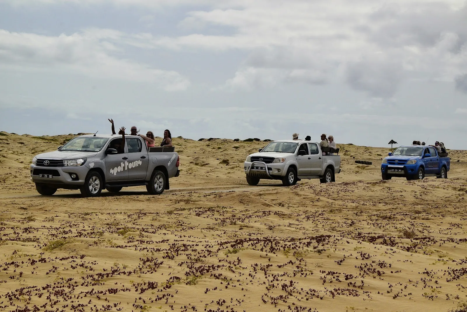 Spot Travel Tours photo 4