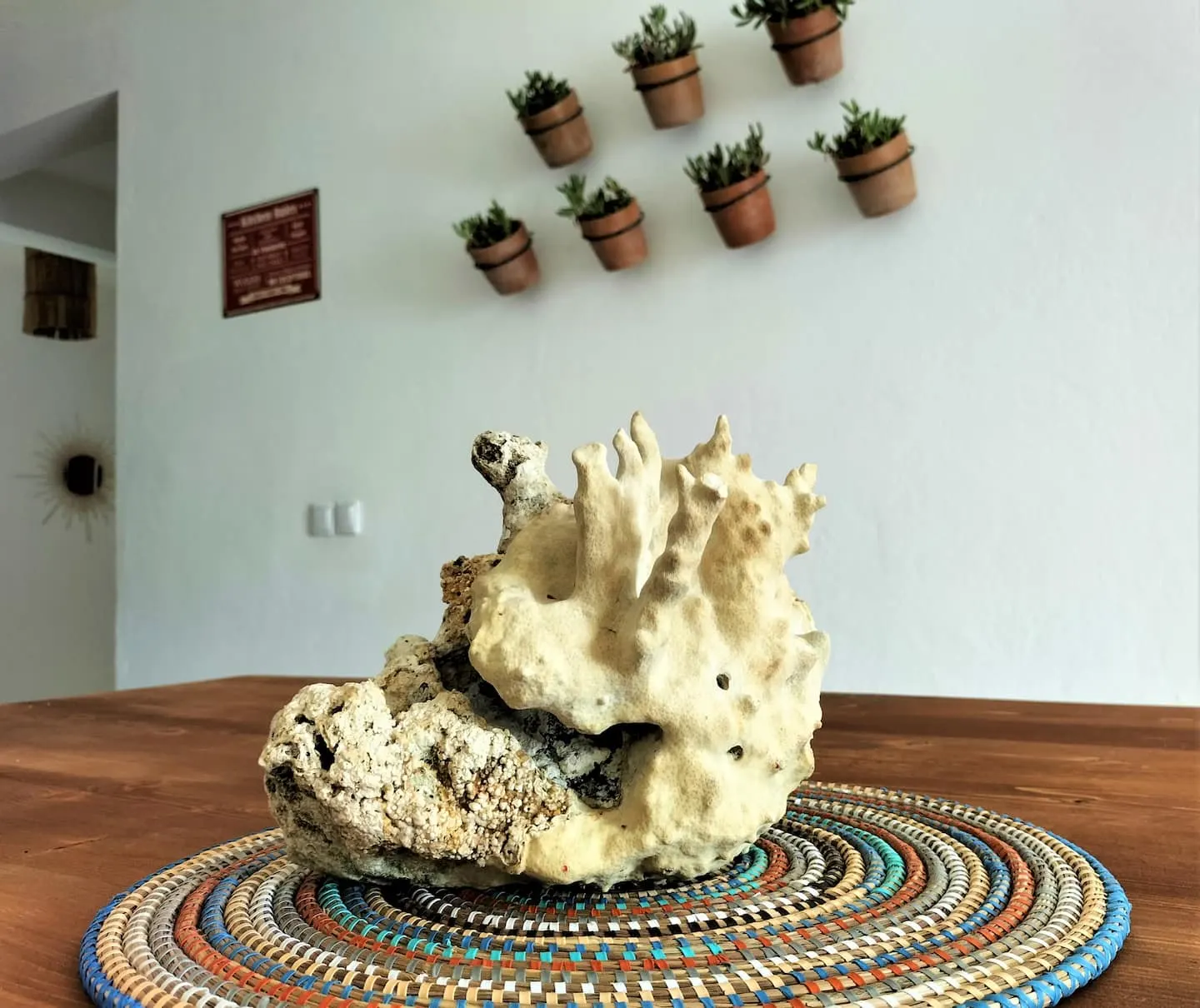 Lovely shared room in Solstice — photo 8