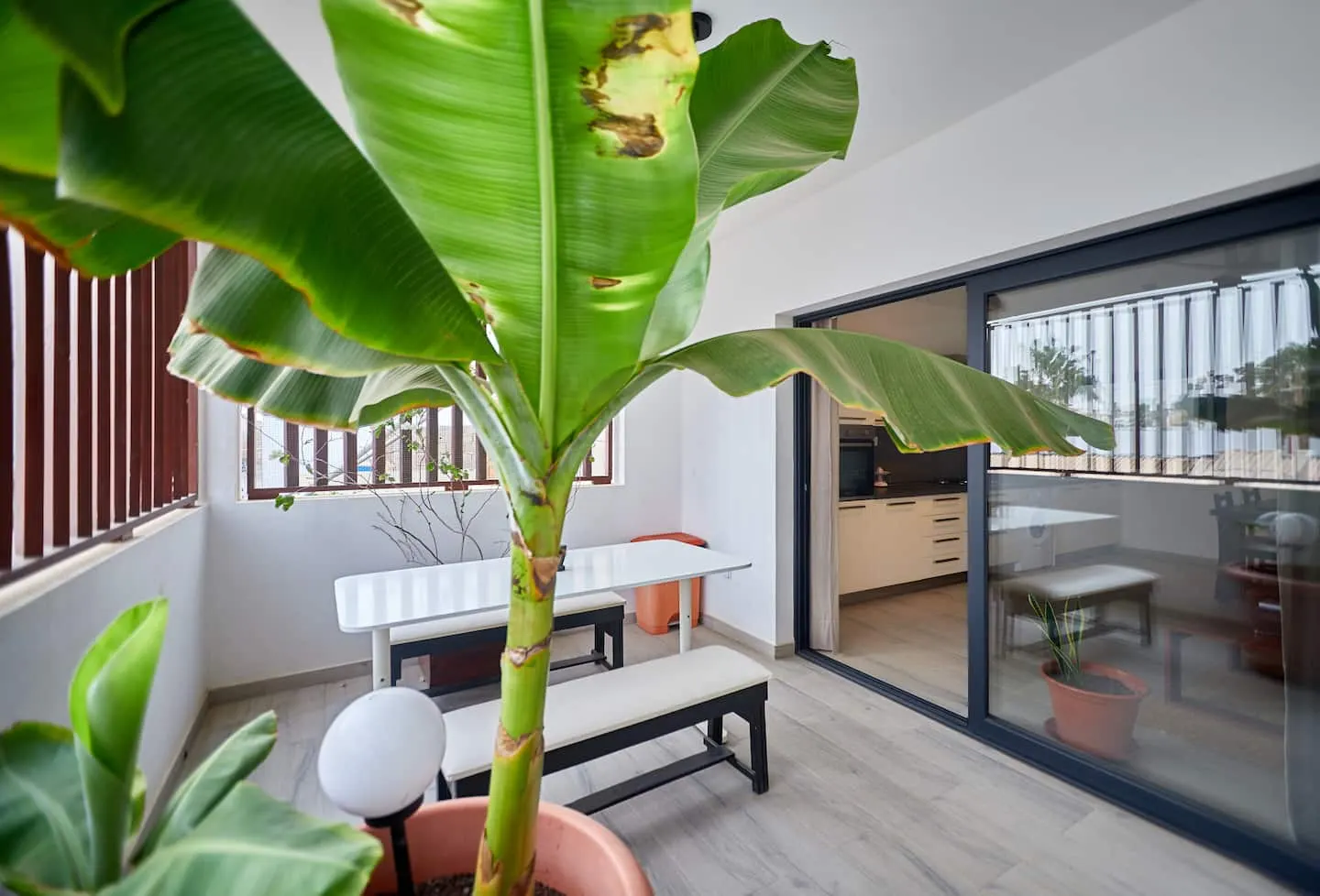 Modern escape near main street — Additional photos